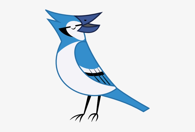 820x556 Bluejay Drawing Blue Jay Bird Library