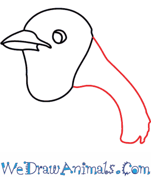 300x350 How To Draw A Blue Jay