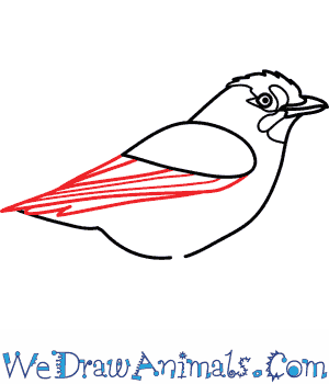 300x350 How To Draw A Jay
