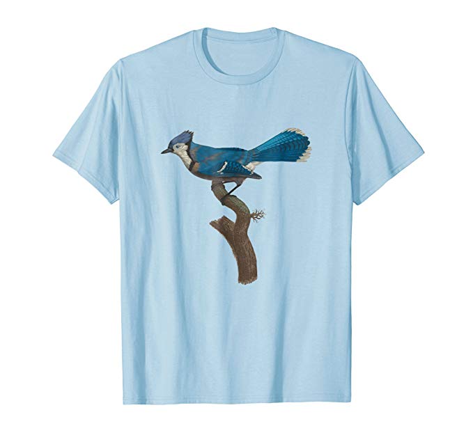 679x635 Vintage Bluejay Drawing Shirt