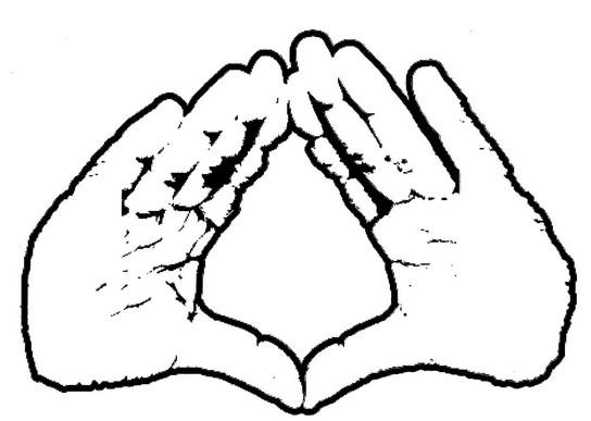 544x387 hands off jay z's hand gesture trademark winthrop weinstine