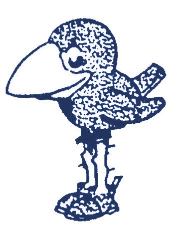 367x471 Ku History On Twitter The Jayhawk Drawn