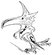 180x192 The Mythical Jayhawk