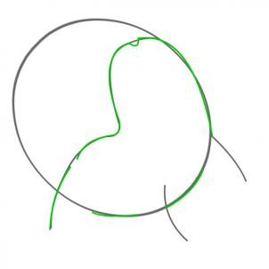 302x302 How To Draw Chikorita