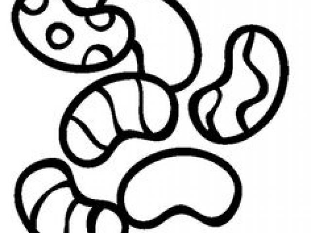640x480 Jelly Bean Clipart Black And White