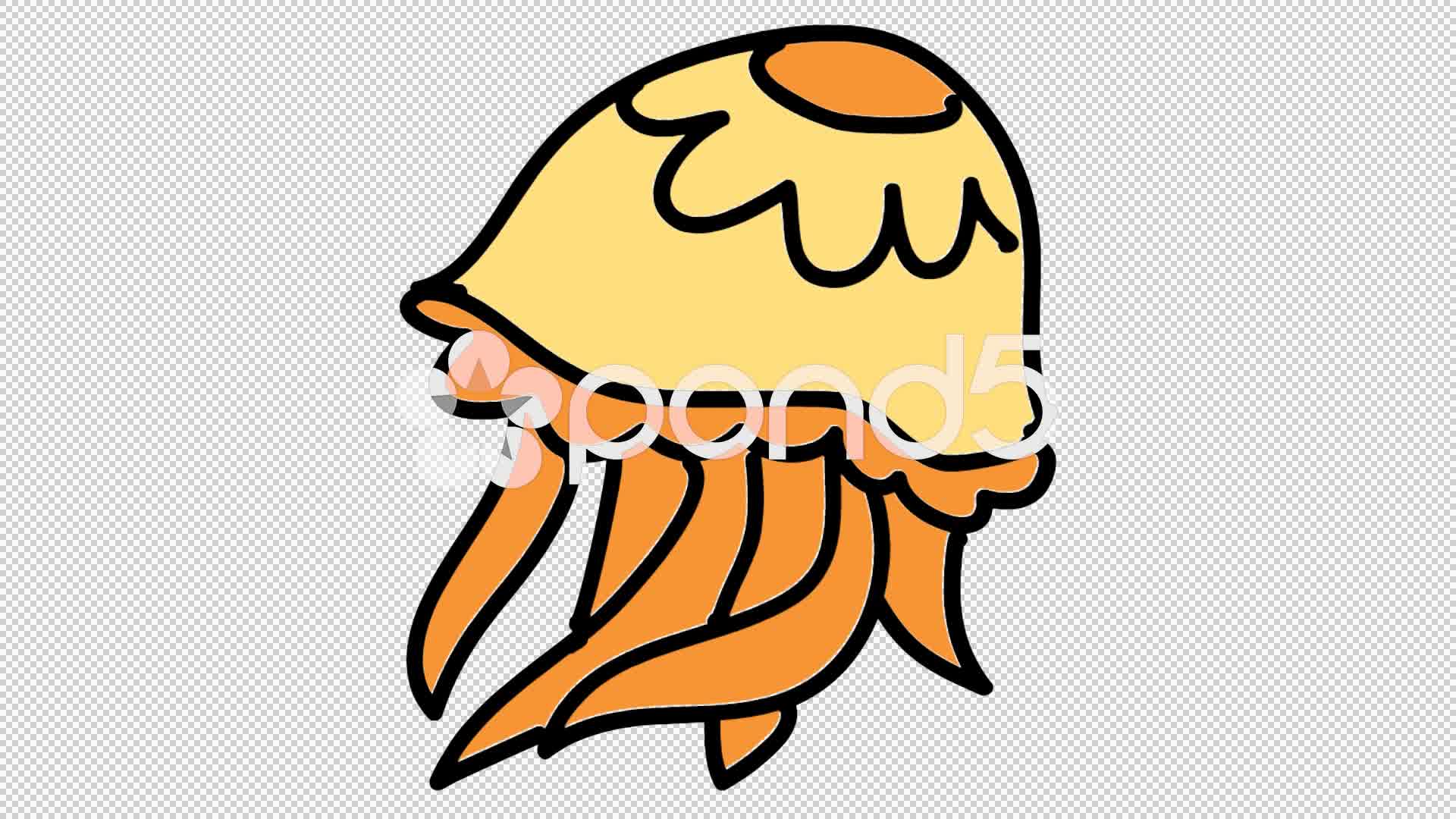 1920x1080 Jelly Fish Line Drawing Illustration Animation With Transparent