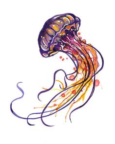 Jellyfish Drawing