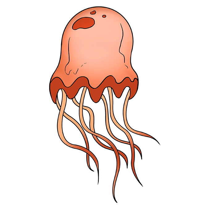 680x678 How To Draw A Jellyfish