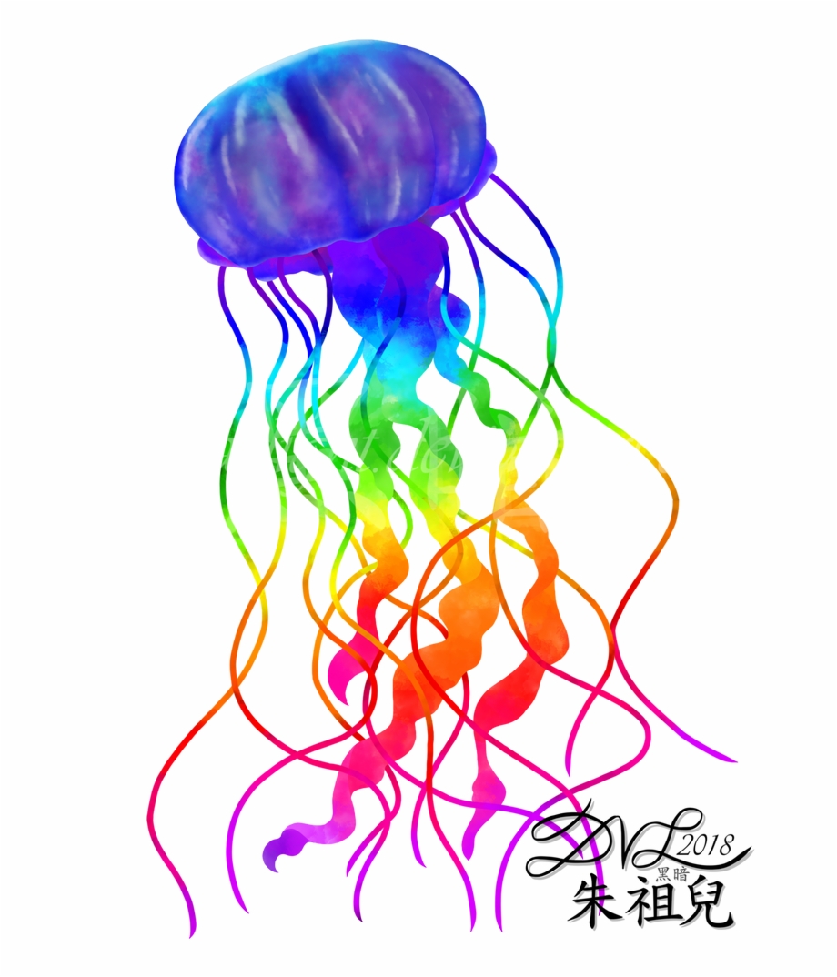 920x1074 Biology Drawing Jellyfish