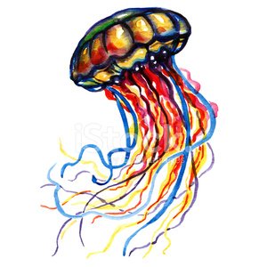 300x300 Color Ocean Water Jellyfish Premium Clipart