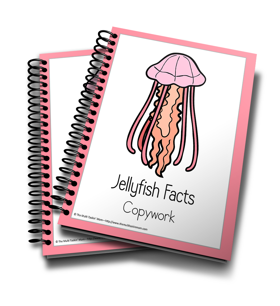 900x983 Jellyfish Color And Copywork