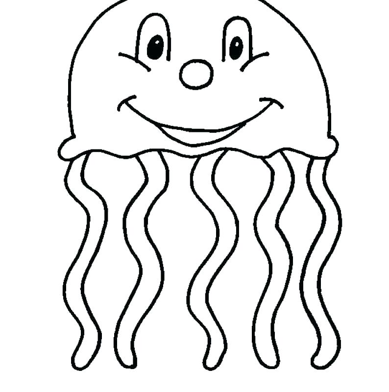 794x800 jellyfish coloring pages jellyfish coloring
