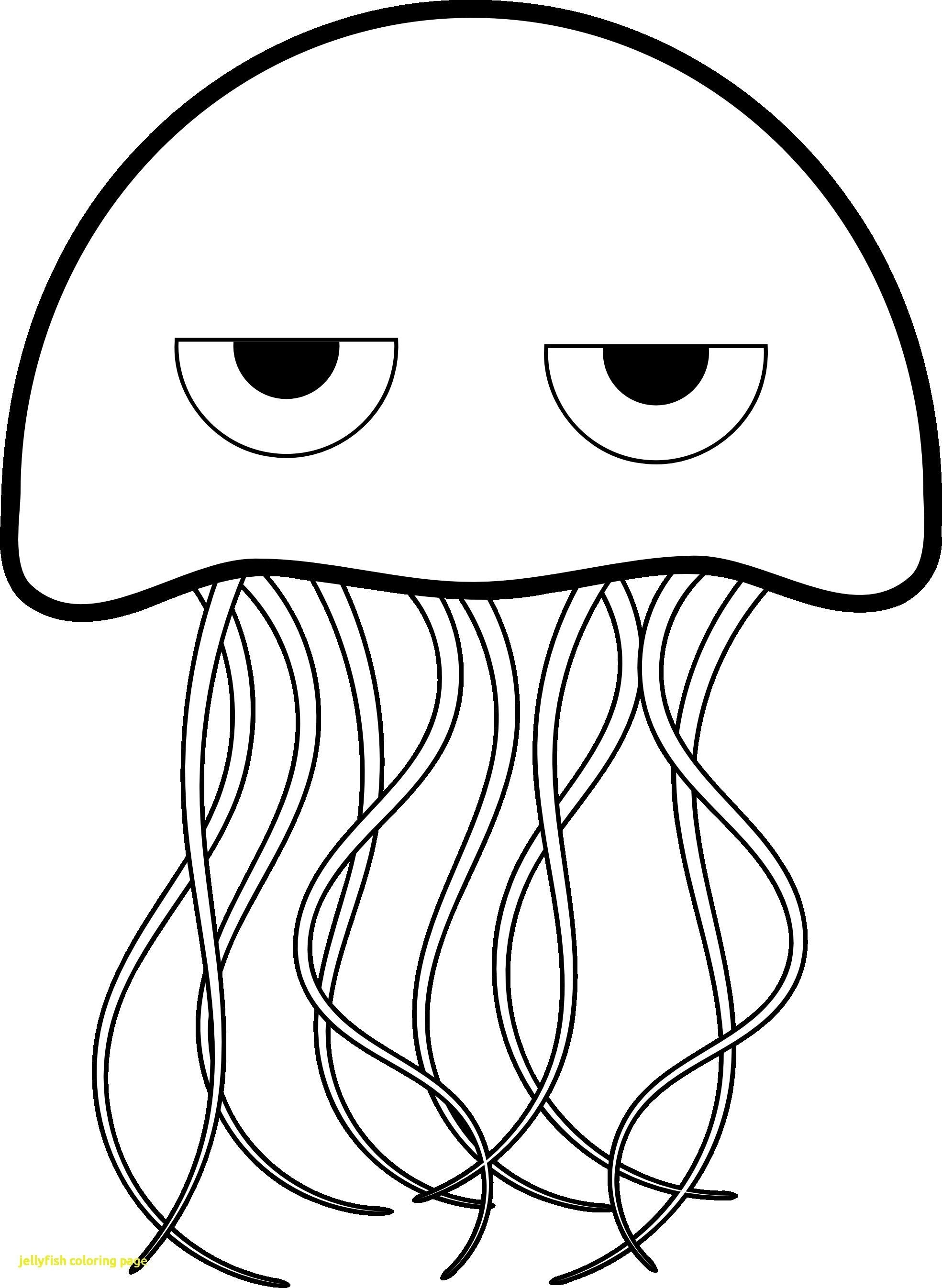 1969x2693 Beautifull Jellyfish Coloring