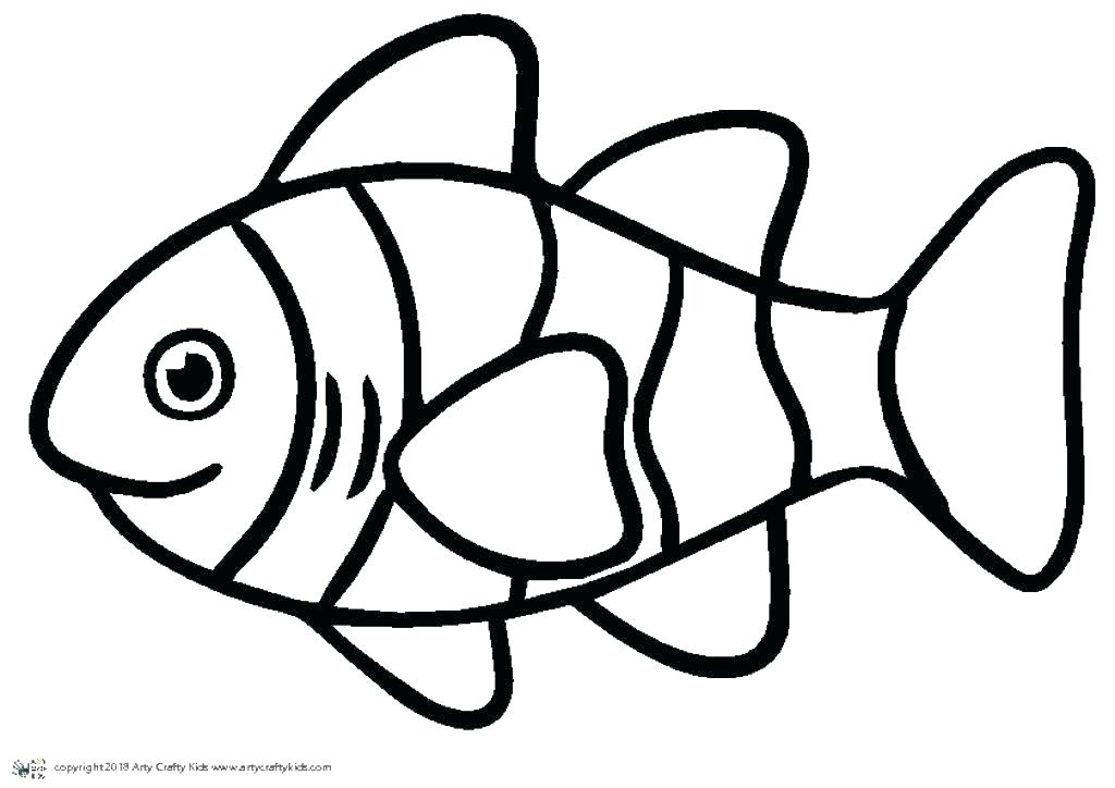 1024x724 Fish Outline Drawing Fish Outline Drawing Awesome Fish Drawing