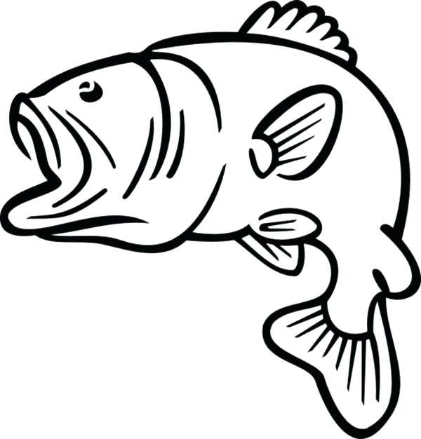 600x626 Fish Outline Drawing Fish Outline Images Free Download Best