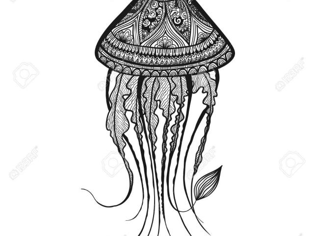 640x480 Drawn Jellyfish