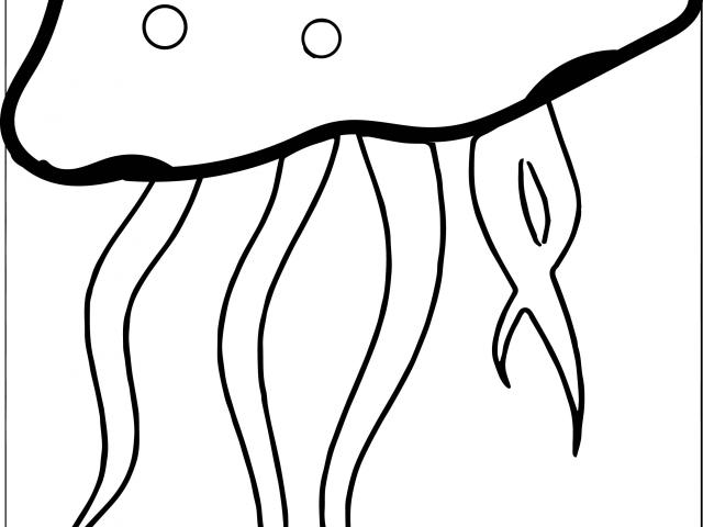 640x480 Free Jellyfish Clipart, Download Free Clip Art