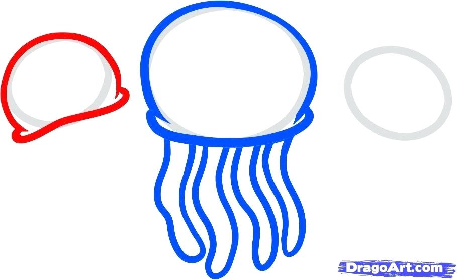 909x557 simple jellyfish drawing jellyfish simple cartoon architects near