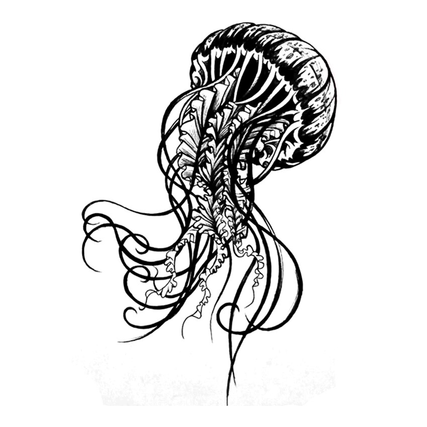 Jellyfish Tattoo Drawing