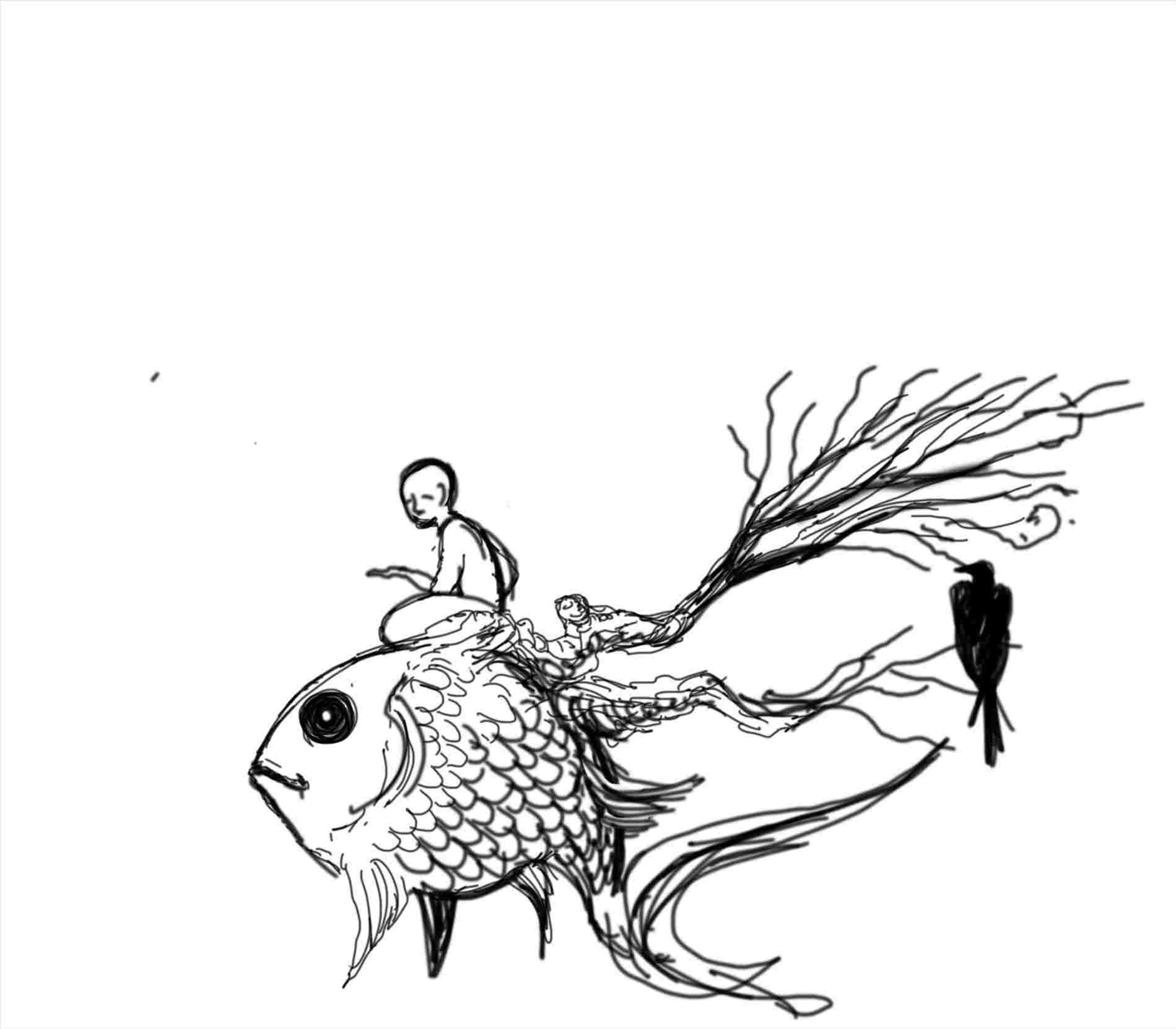 1899x1662 Huge Collection Of 'realistic Jellyfish Drawing' Download More