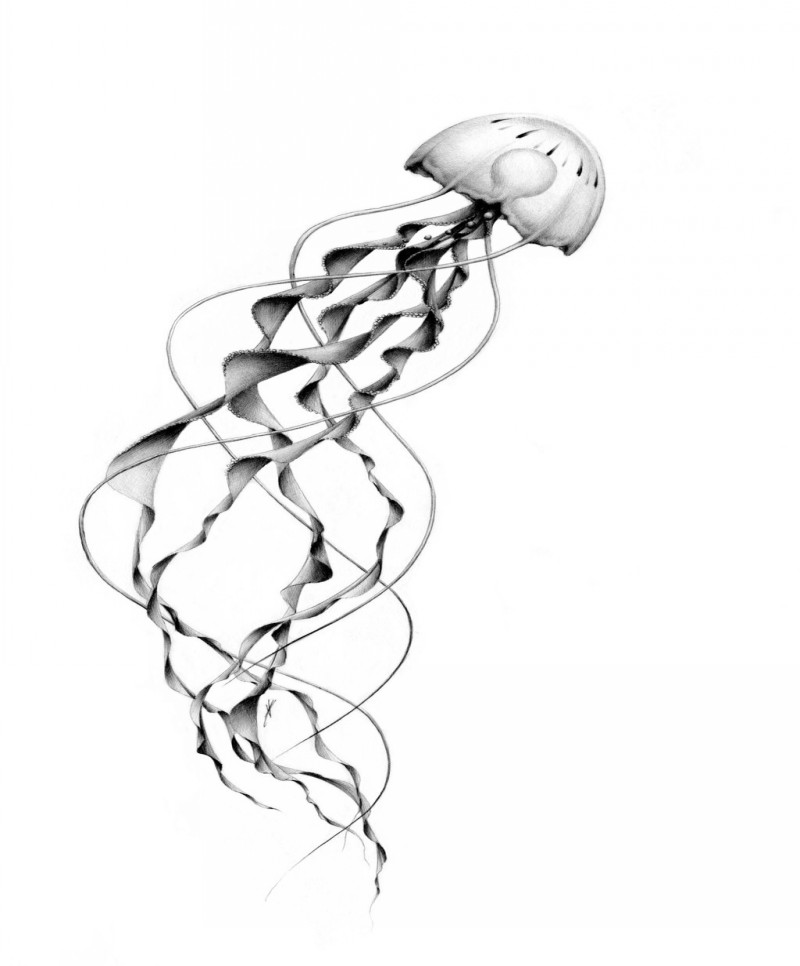 800x966 small headed grey ink jellyfish with extra long tentacles tattoo