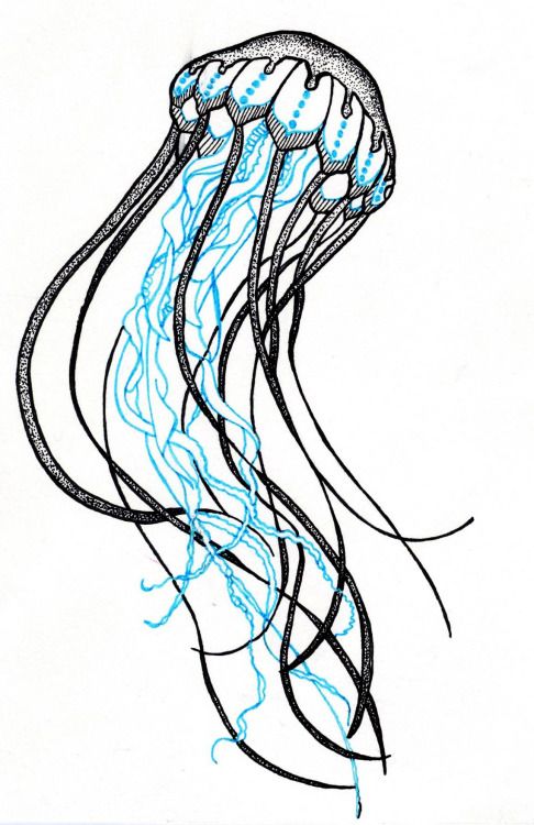 Jellyfish Tattoo Drawing | Free download on ClipArtMag