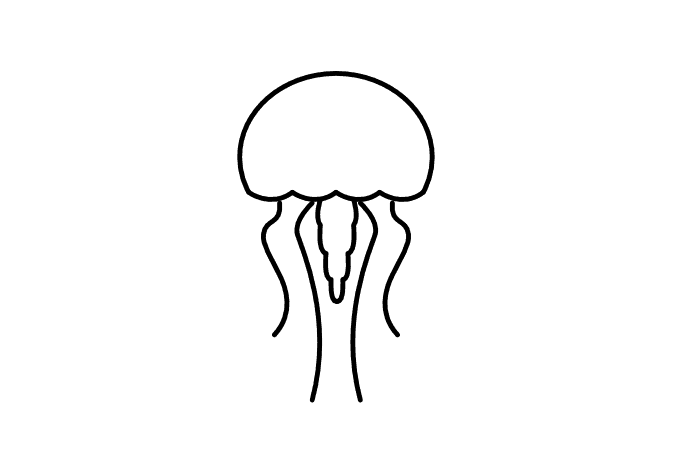 681x465 cute little jellyfish tattoo vector t shirt design best t shirt