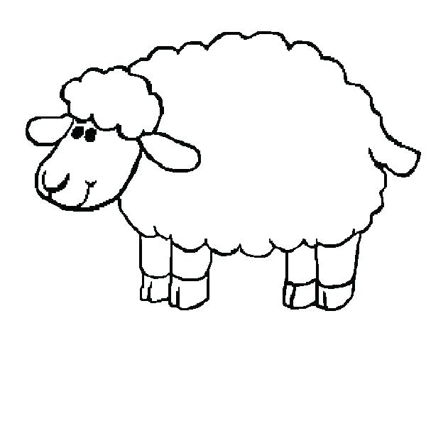 600x600 Printable Sheep Coloring