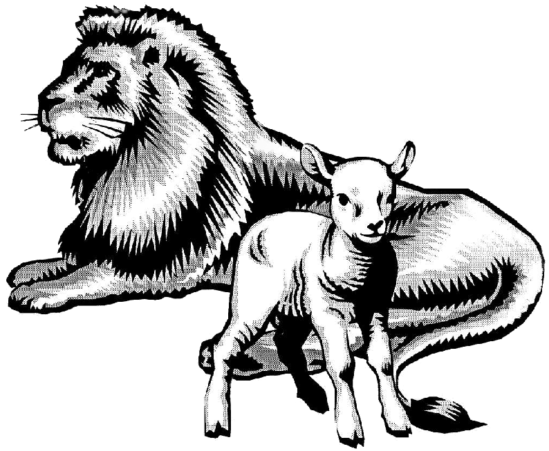 794x653 calvary christian school