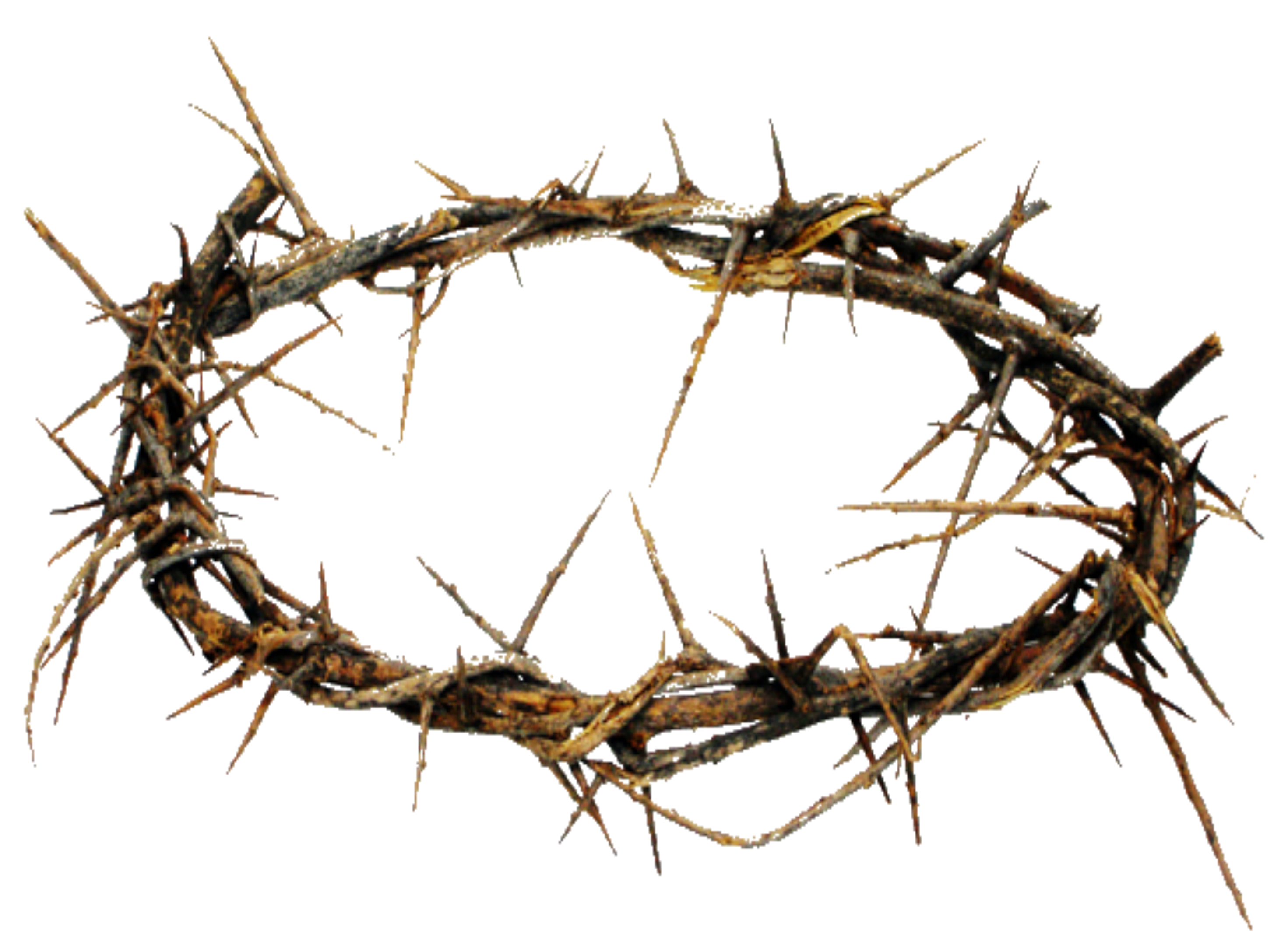 2942x2171 Crown Of Thorns On Cross Transparent Png Clipart Free Download