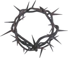 235x203 Awesome Thorns Images Crown Of Thorns, Clip Art, Crowns