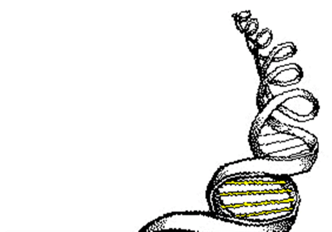 1140x796 The Blade Toledo's Breaking News, Sports And Entertainment Watchdog