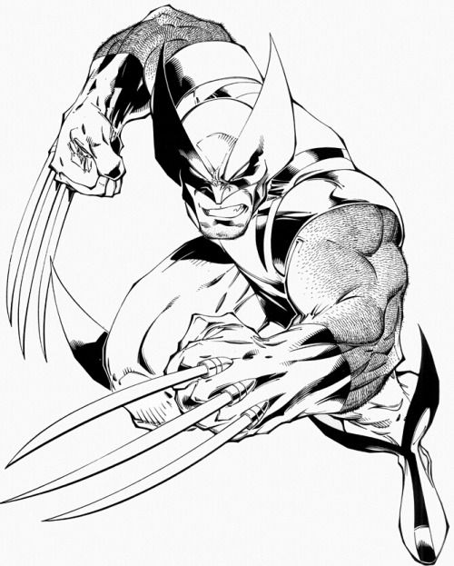 500x623 Wolverine
