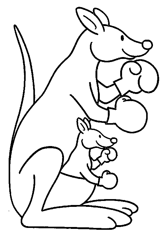 534x761 How To Draw The Kangaroos Drawing Tutorials Drawing How