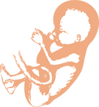 335x360 Page John Brown University's Student Newspaper