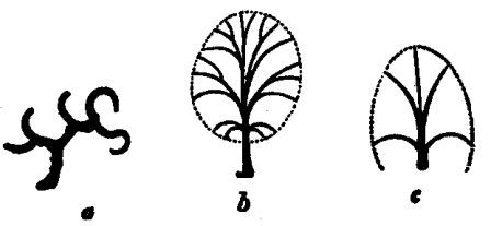 448x207 The Elements Of Drawing