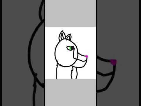 480x360 John F Kennedy Cougar