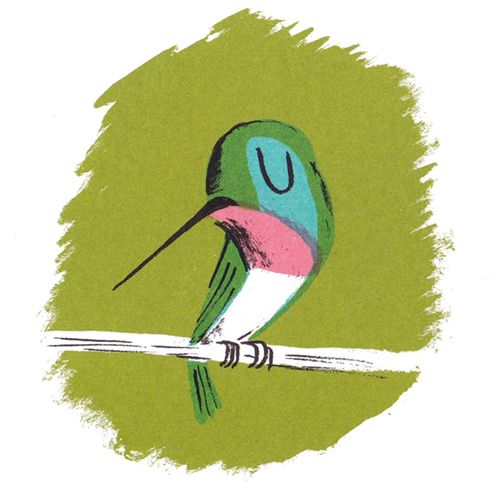 500x500 Hector And Hummingbird