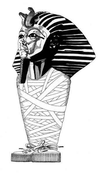 342x600 editorial drawings fine art america