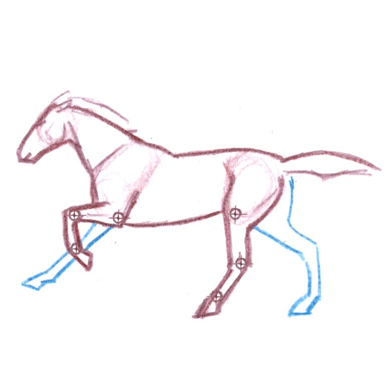 777x777 drawing mammals view, fur texture, and gaits