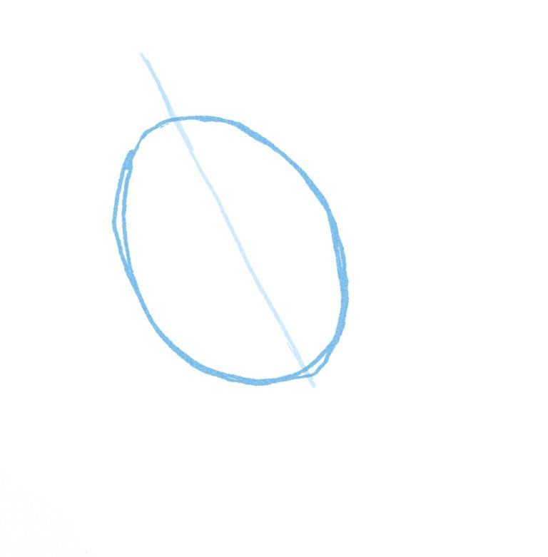 768x781 How To Draw A Song Sparrow Step