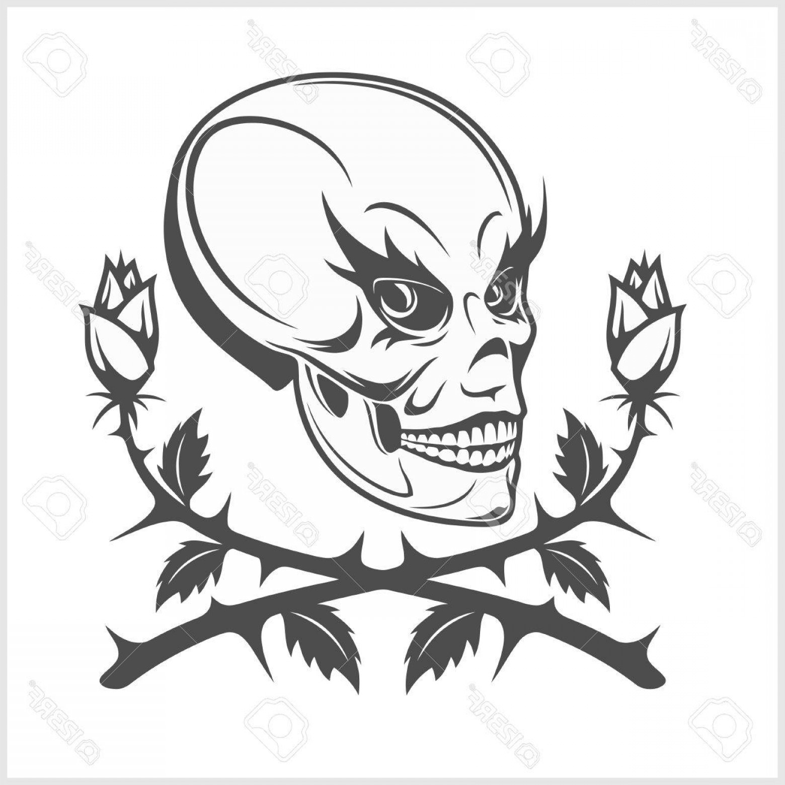 1560x1560 Photostock Vector Joker Clown Skull Isolated On White Background
