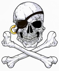 190x228 jolly roger skull crossbones t shirt pirate tee iphone x case