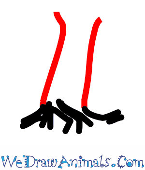 300x350 How To Draw A Joshua Tree