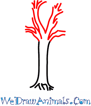 300x350 how to draw a sycamore tree