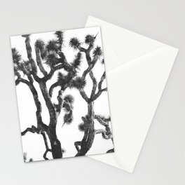 264x264 Joshua Tree Cards