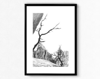 340x270 Minimal Joshua Tree Etsy