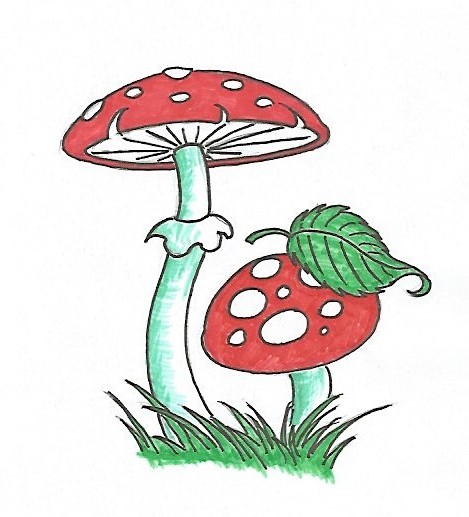 469x517 Fungusamongus The Drawing Journey