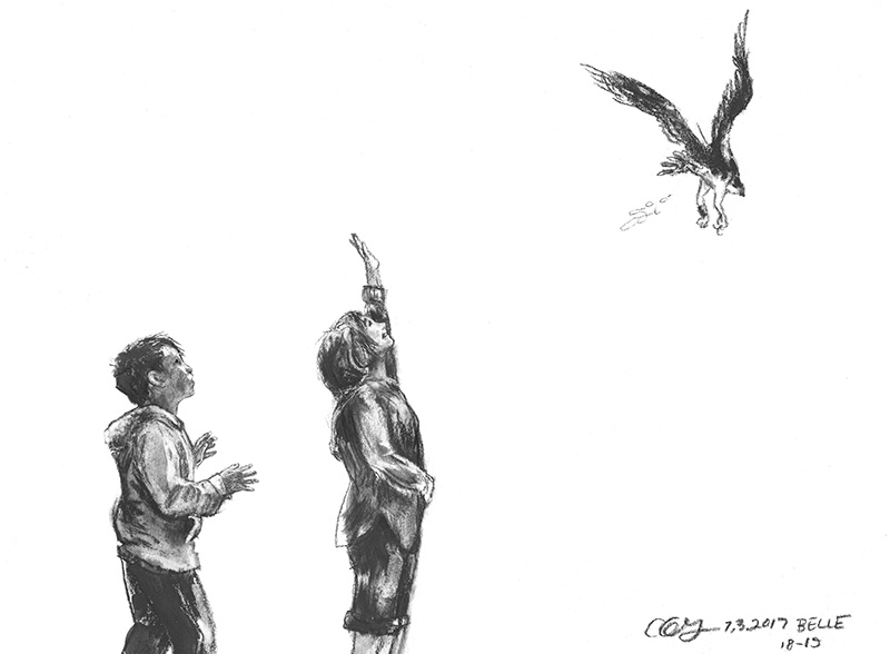 800x588 The Vineyard Gazette