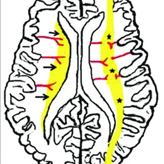 320x320 vc manoj's research works jubilee mission medical college